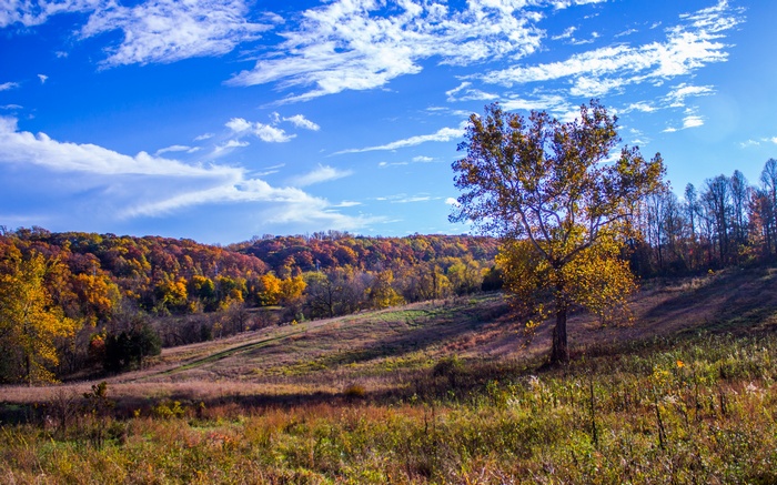 Autumn landscape with colorful trees and blue sky