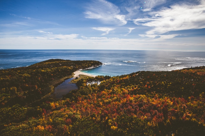 Autumn forest overlooking a bay and the ocean