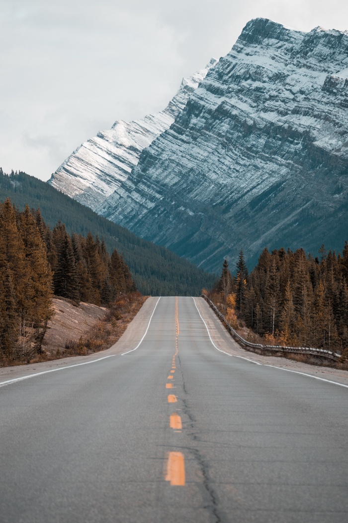 Mountain road through a forest with snow-capped mountains