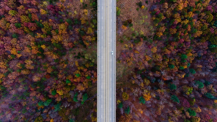 Aerial view of a car on a bridge surrounded by fall foliage