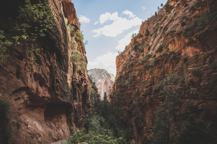 Canyon with trees and mountains