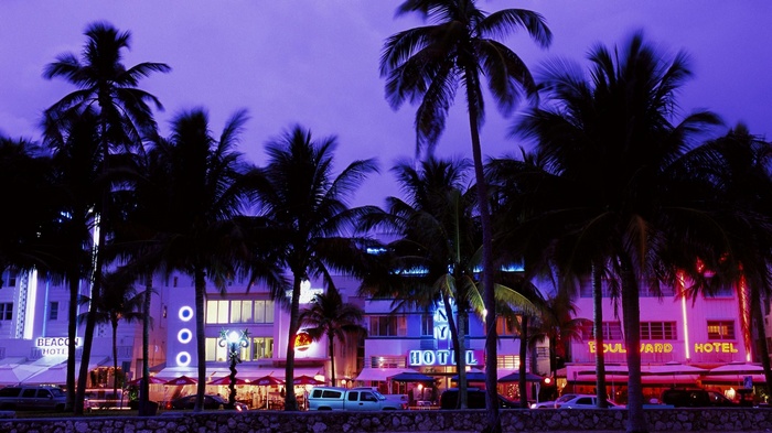 Miami Beach hotels and palm trees at night