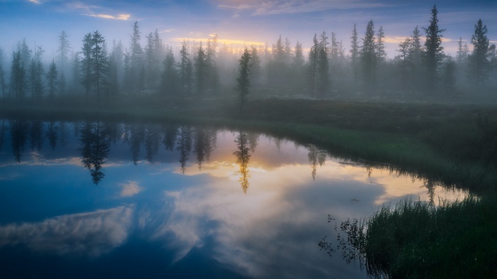 Misty forest reflected in calm water at sunrise