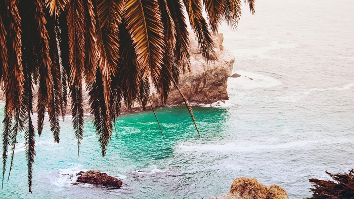 Palm fronds over turquoise ocean and rocky cliffs