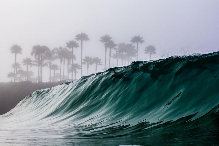 Misty palm trees behind a crashing ocean wave