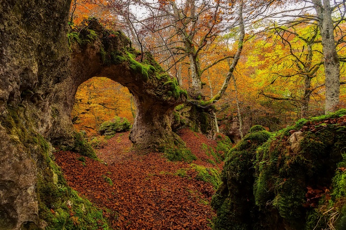 Autumn forest with moss-covered rocks and archway