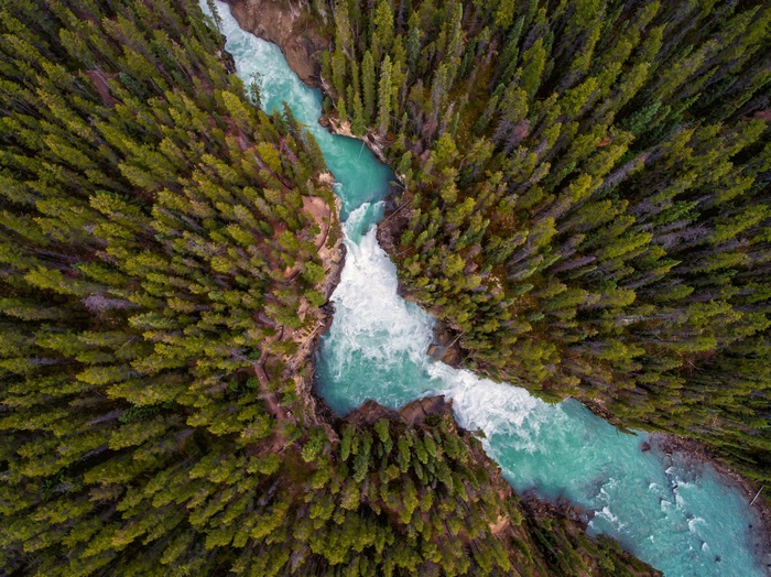Aerial view of a turquoise river flowing through a dense green forest