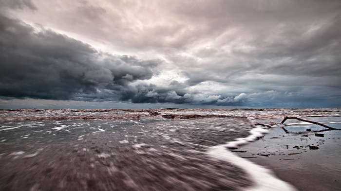 Stormy sky over a choppy sea with a driftwood branch