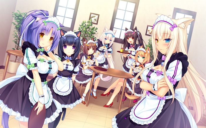 Neko Para, cat girl, smiling