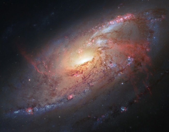 Messier 106 galaxy with stars and nebulae