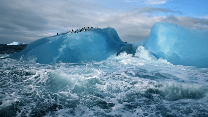 Penguins on a blue iceberg in the ocean with waves