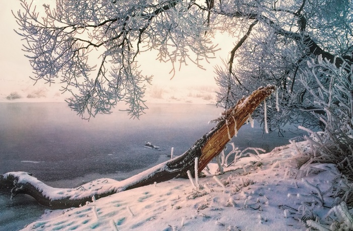 Frosty winter morning by a misty river with a fallen tree