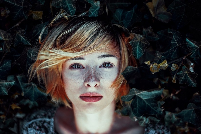 Sollena surrounded by dark green ivy leaves