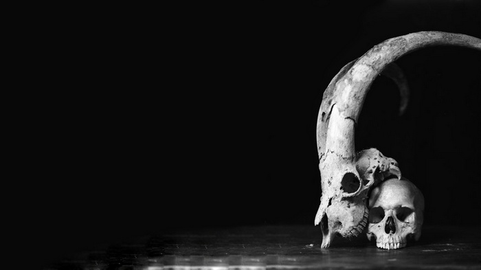 Monochrome image of a goat skull and human skulls