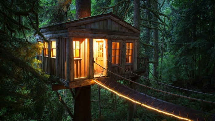 Cozy tree house with illuminated windows and rope bridge