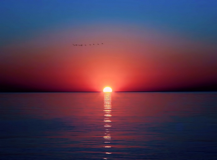 Sunset over the sea with birds flying