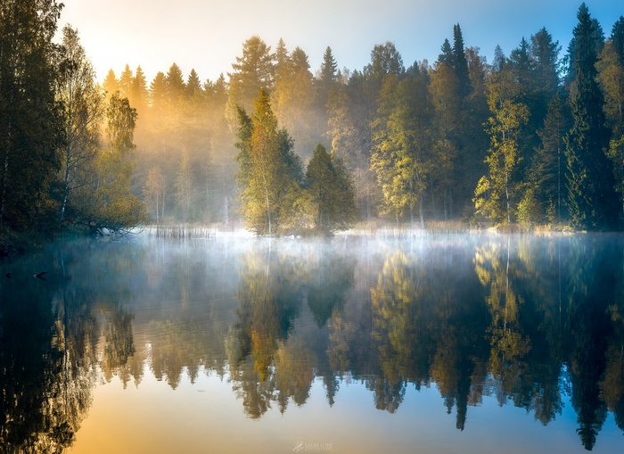 Misty lake with autumn forest reflection