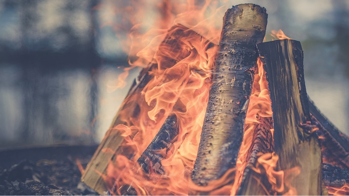 Campfire with burning logs
