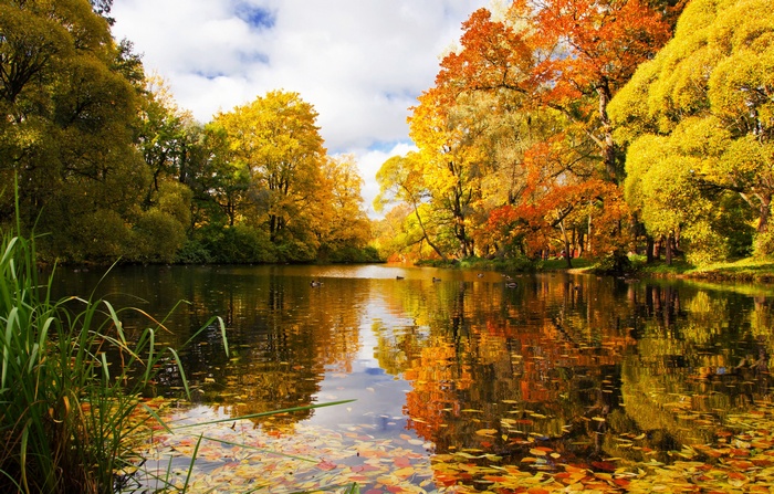 Autumn lake with colorful trees and reflections