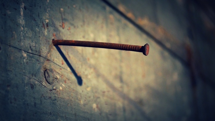 Close-up of a rusty nail in a wooden surface