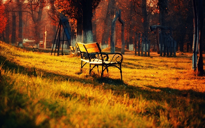 Park bench in autumn sunlight