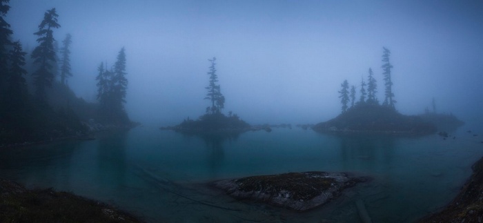 Misty lake with pine trees on islands