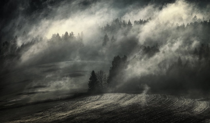 Misty forest landscape with plowed fields in monochrome