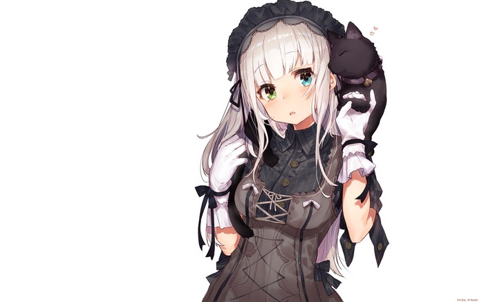 Anime girl with white hair and a black cat