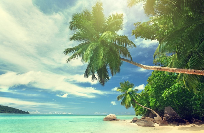 Tropical beach with palm trees and turquoise water
