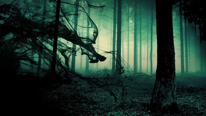 Dark smoke in a misty green forest with trees