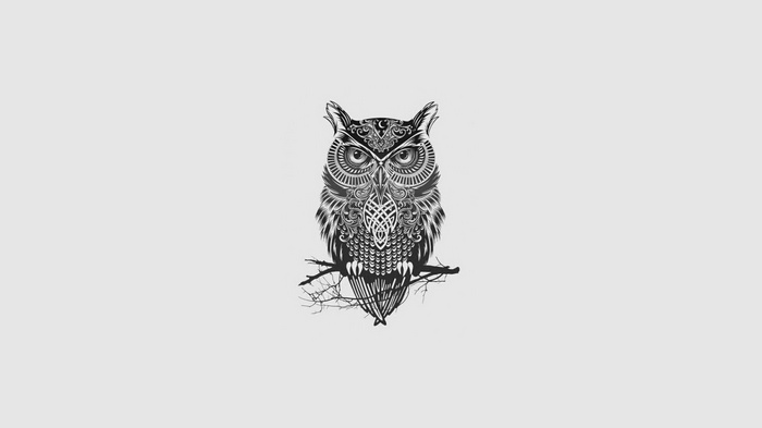 Monochrome owl tattoo on a branch