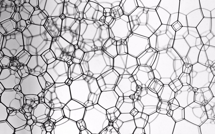 Abstract Plexus of Bubbles