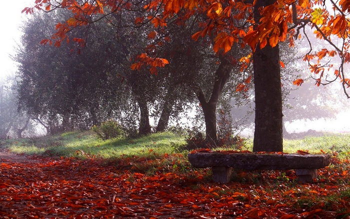 Autumn park with fallen leaves and a stone bench