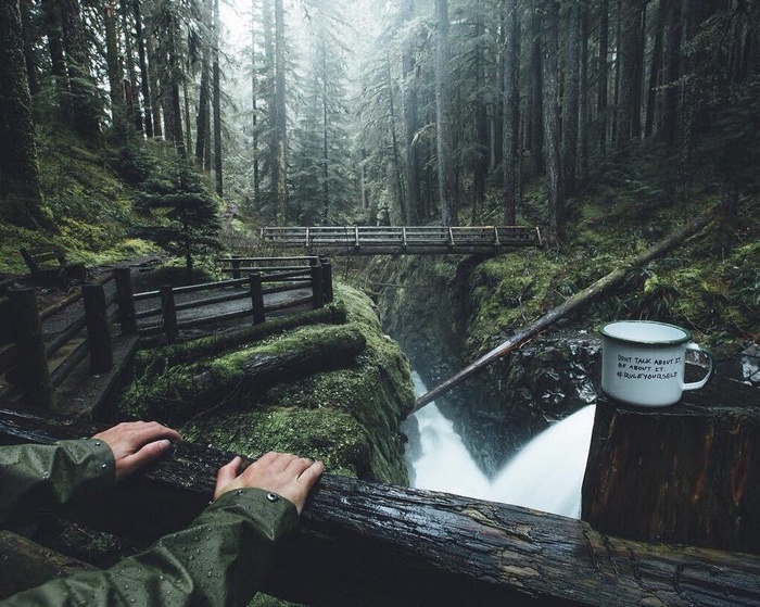 Mug with quote near waterfall in a forest