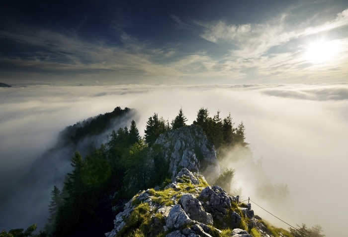 Mountain ridge above clouds with evergreen trees and sunlight