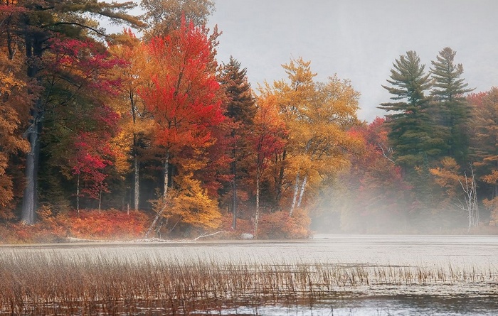 Autumn mist over a lake in Vermont