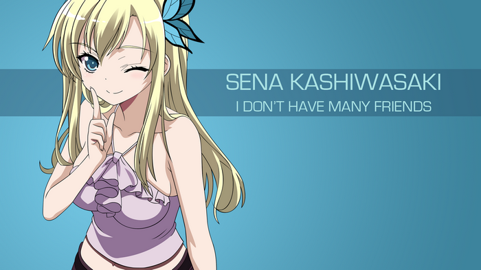 Sena Kashiwazaki from Boku wa Tomodachi ga Sukunai