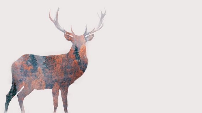 Double exposure of a deer with an autumn forest