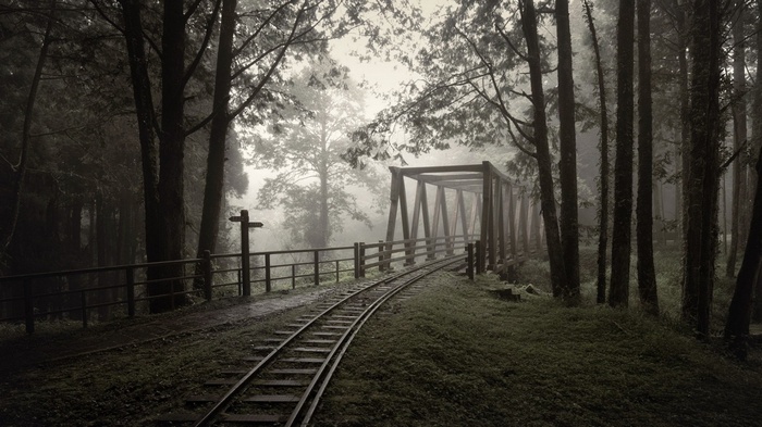 Train tracks leading to a wooden bridge in a foggy forest