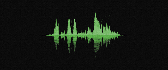 Abstract green waveform with forest reflection