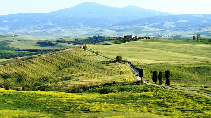 Rolling green hills and a winding road in Tuscany