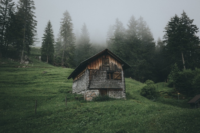 Wooden cabin in a misty forest landscape