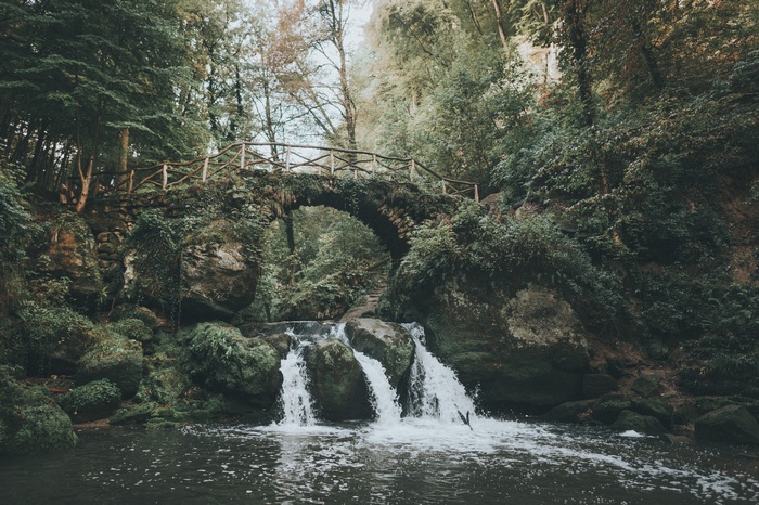 Stone bridge over a waterfall in a forest