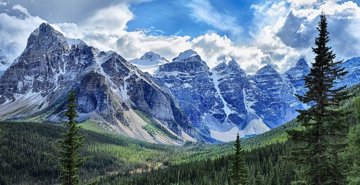 Snow-capped mountains and pine forest under a cloudy sky
