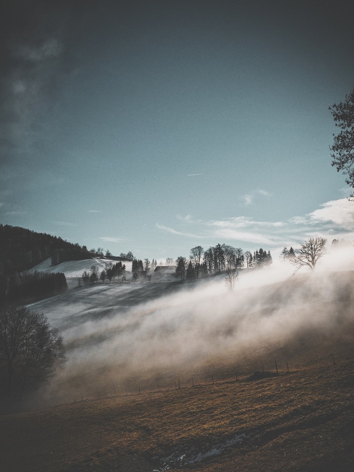Misty winter landscape with trees and houses