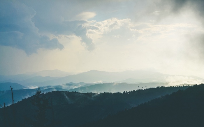 Misty mountains and forest under a cloudy sky