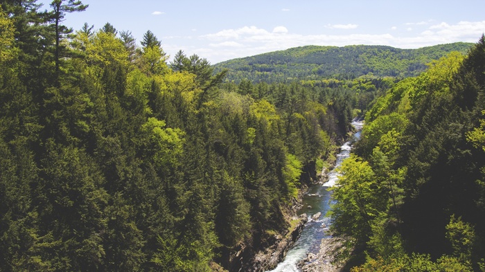 River flowing through a dense forest with rolling hills