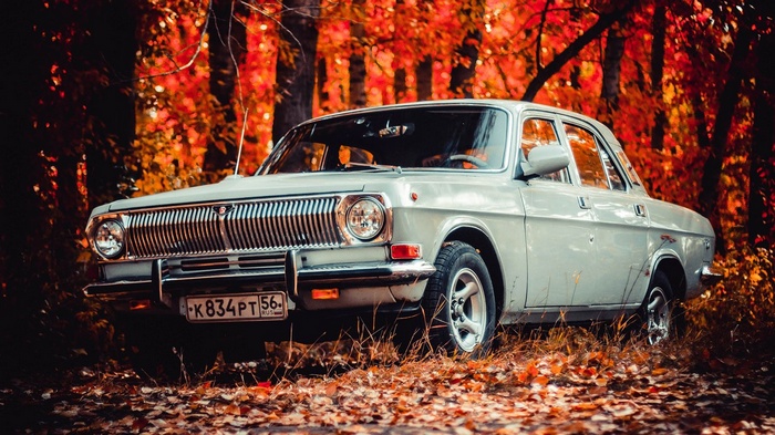 GAZ-24 Volga car in autumn forest