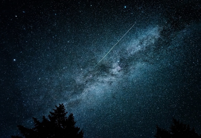 Milky Way galaxy with a shooting star and pine trees