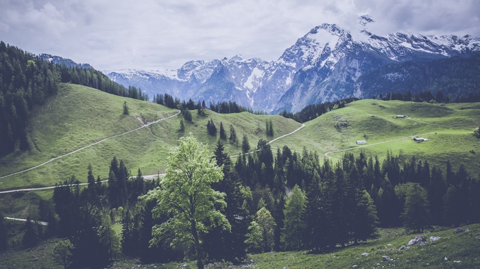Snow-capped mountains and green hills with a forest